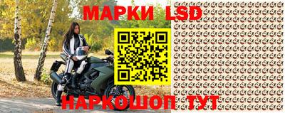 ПСИЛОЦИБИНОВЫЕ ГРИБЫ Гусь-Хрустальный