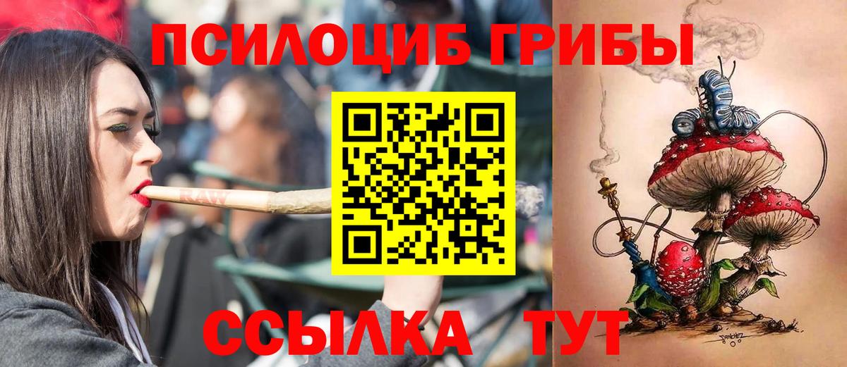 Галлюциногенные грибы GOLDEN TEACHER Ноябрьск